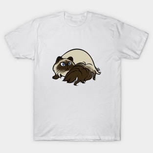 All Curled Up--Himalayan Style T-Shirt